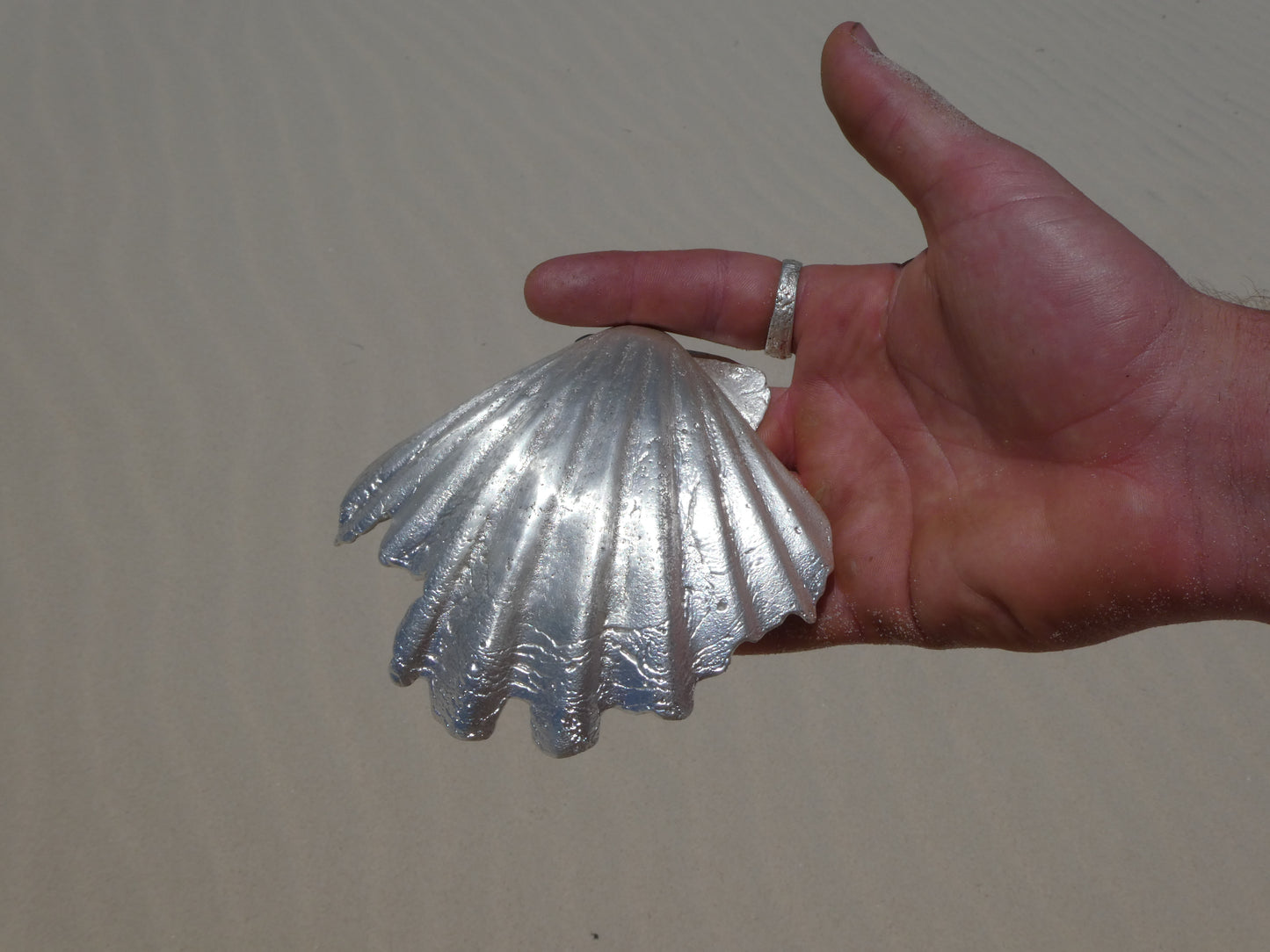 Fruit of the Sea Shell