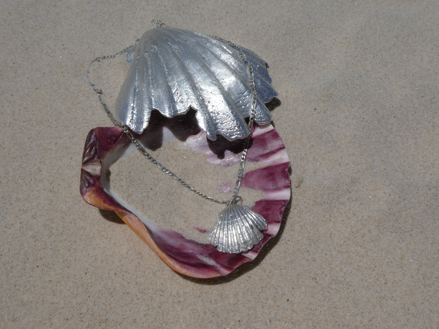 Fruit of the Sea Shell