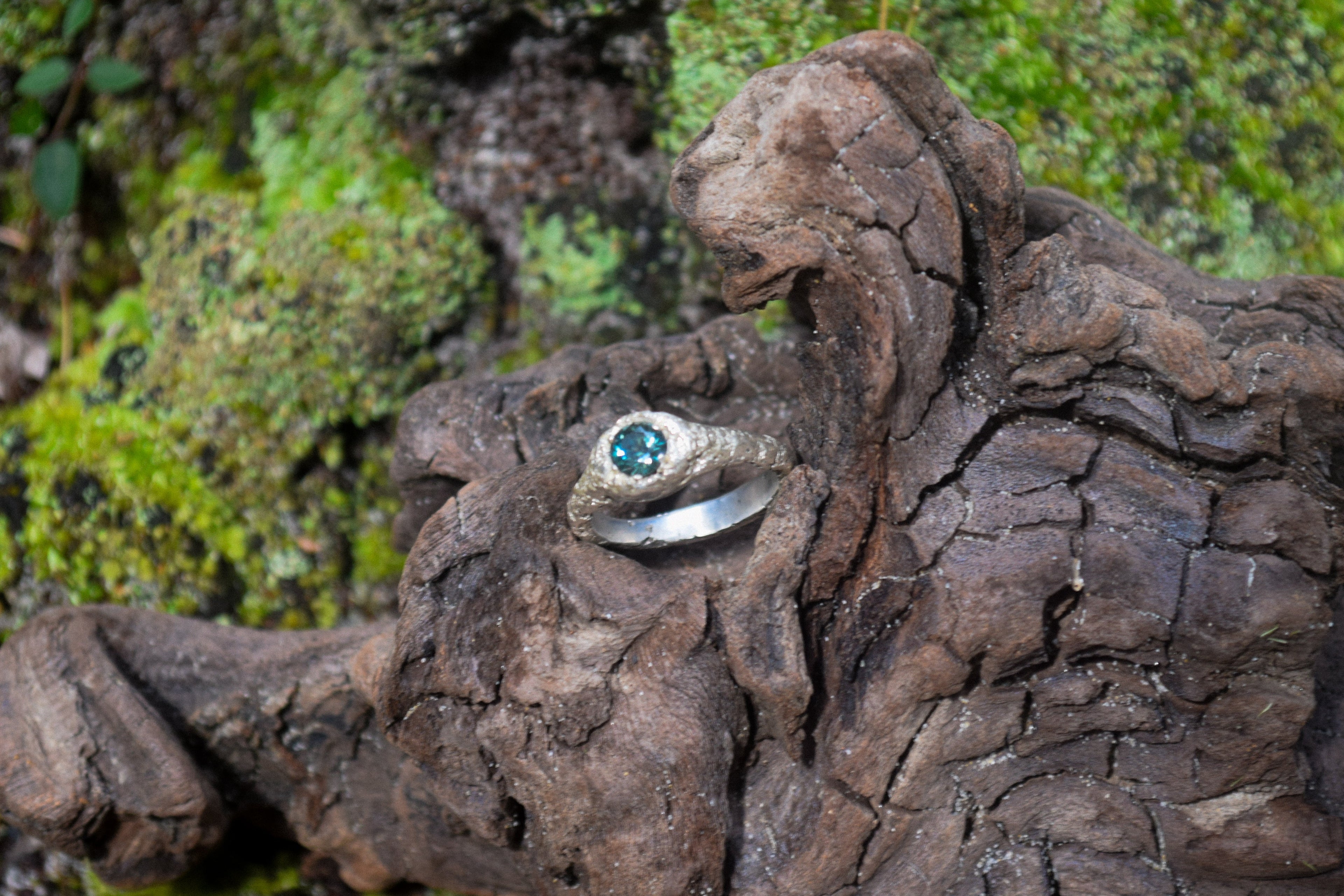 The Haven Ring