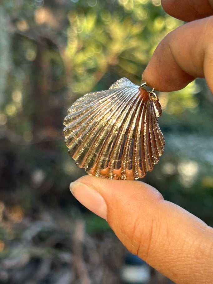 Aureum Mare Shell 14ct Gold