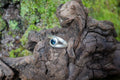 The Tasman Ring