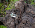 The Valencia Ring