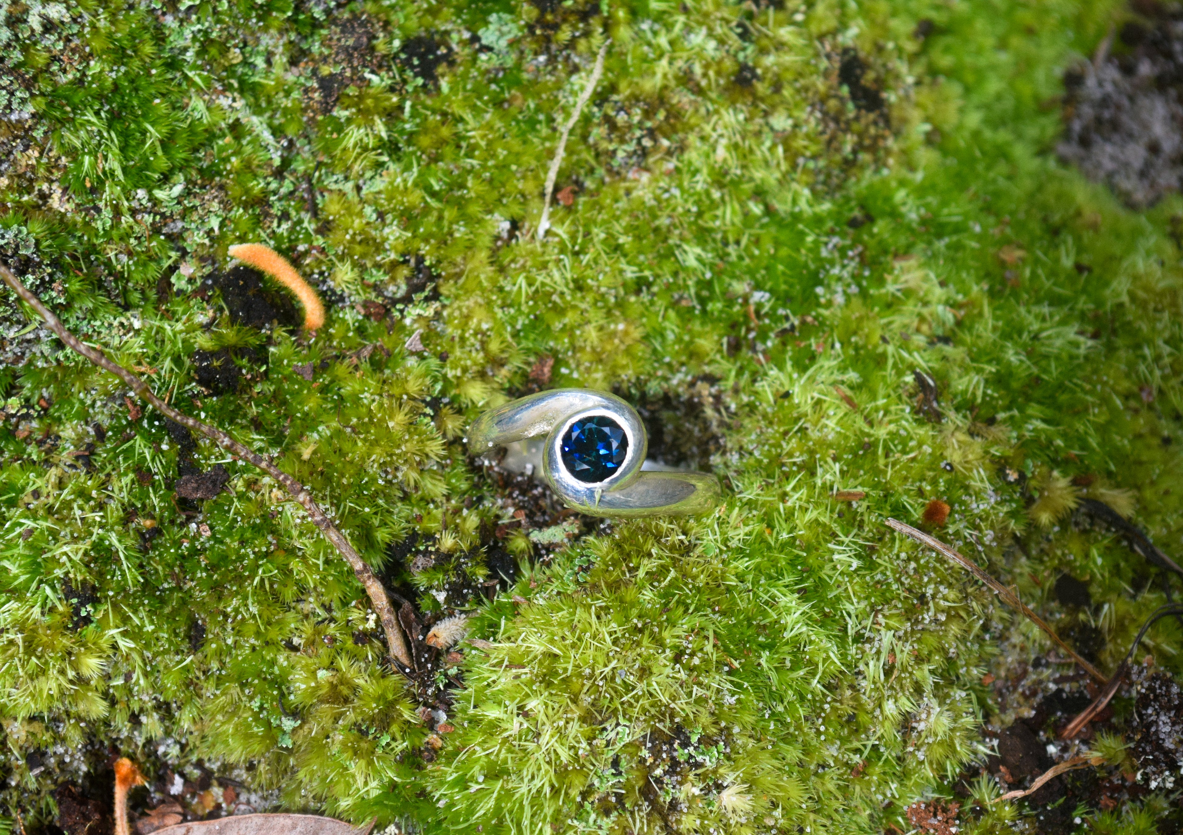 The Tasman Ring