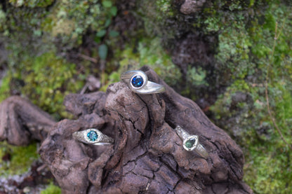 The Tasman Ring