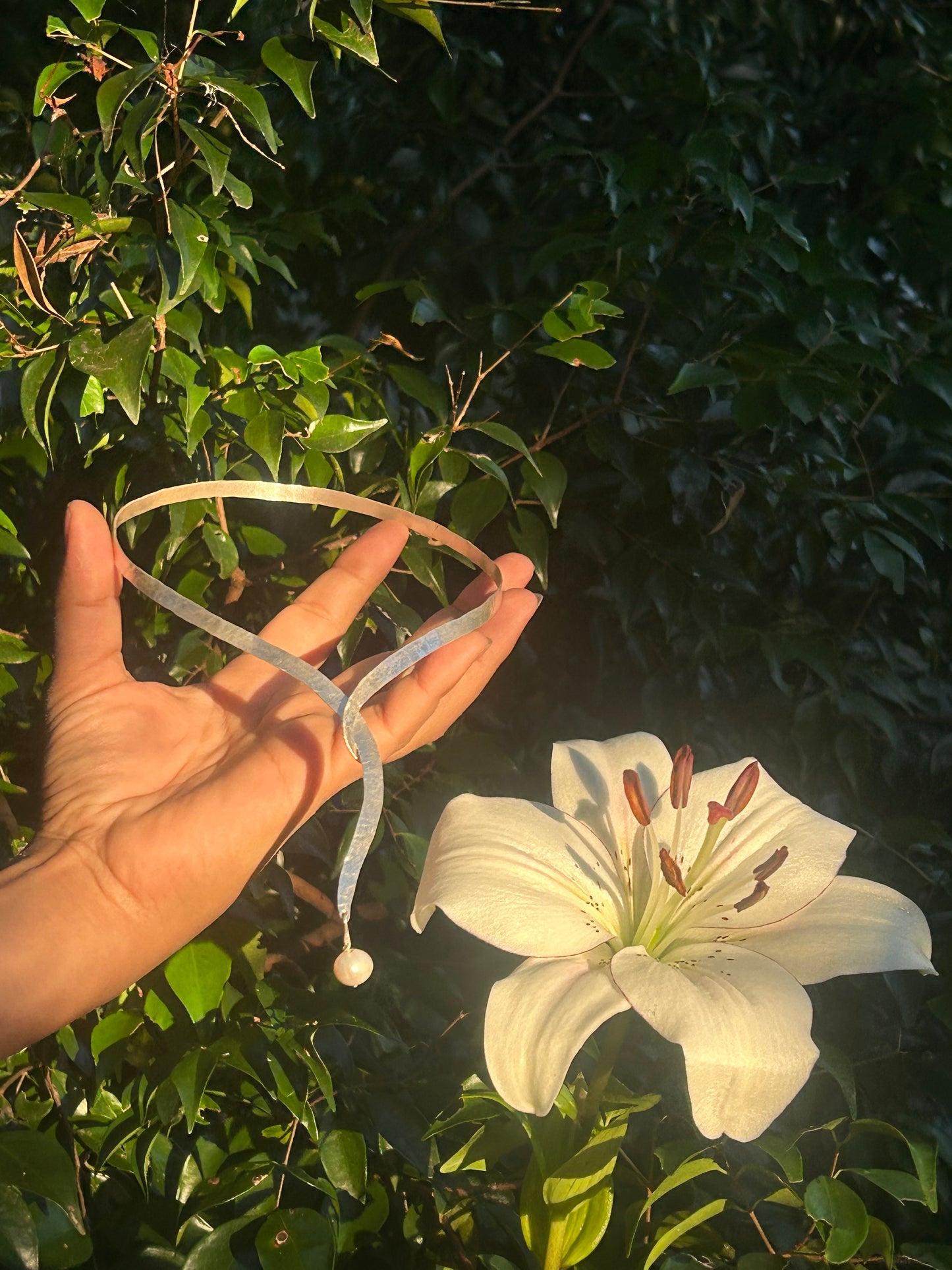 Freshwater Pearl Choker