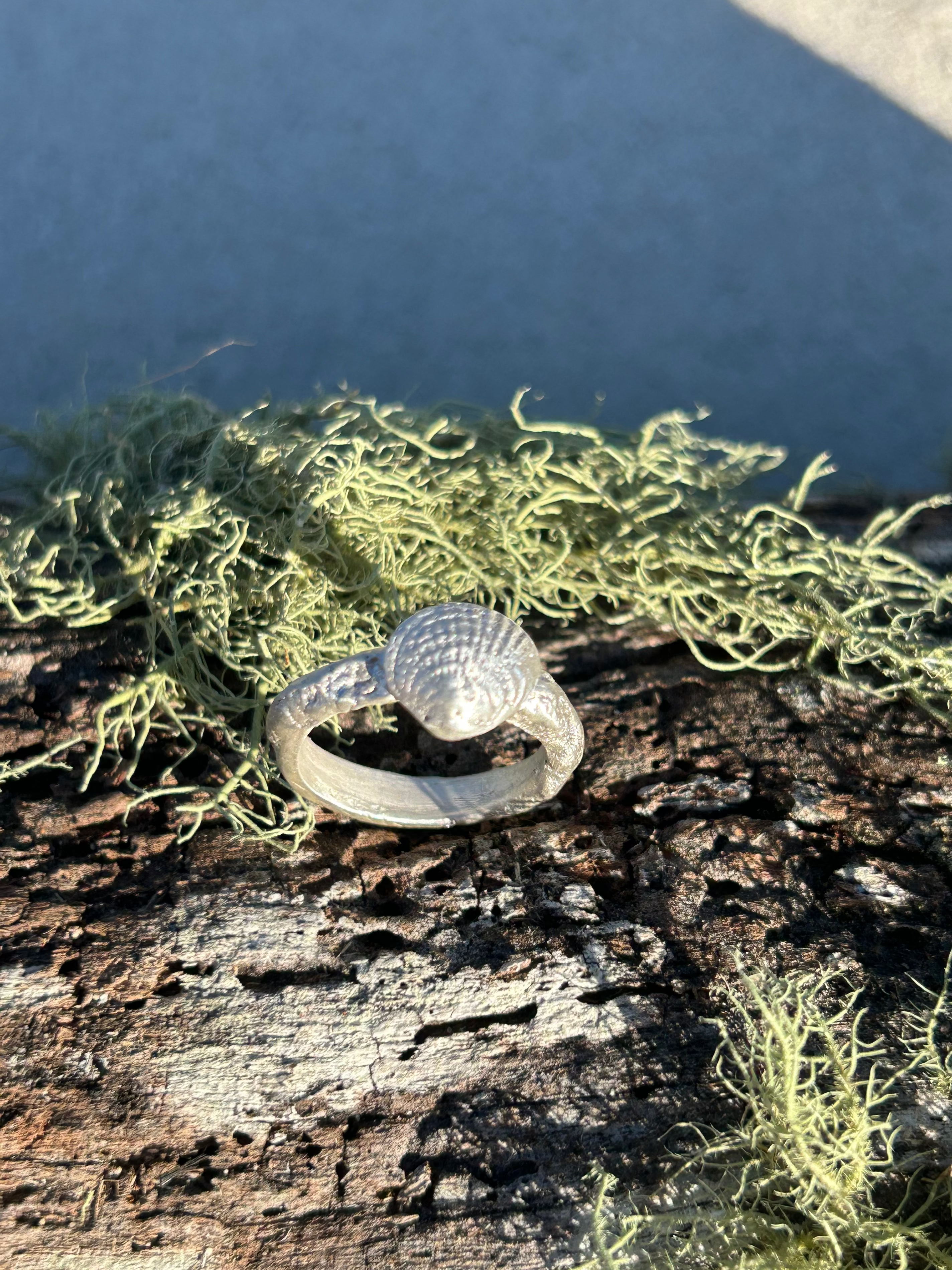 The Pippi Ring