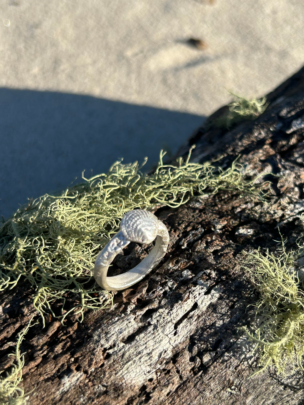 The Pippi Ring