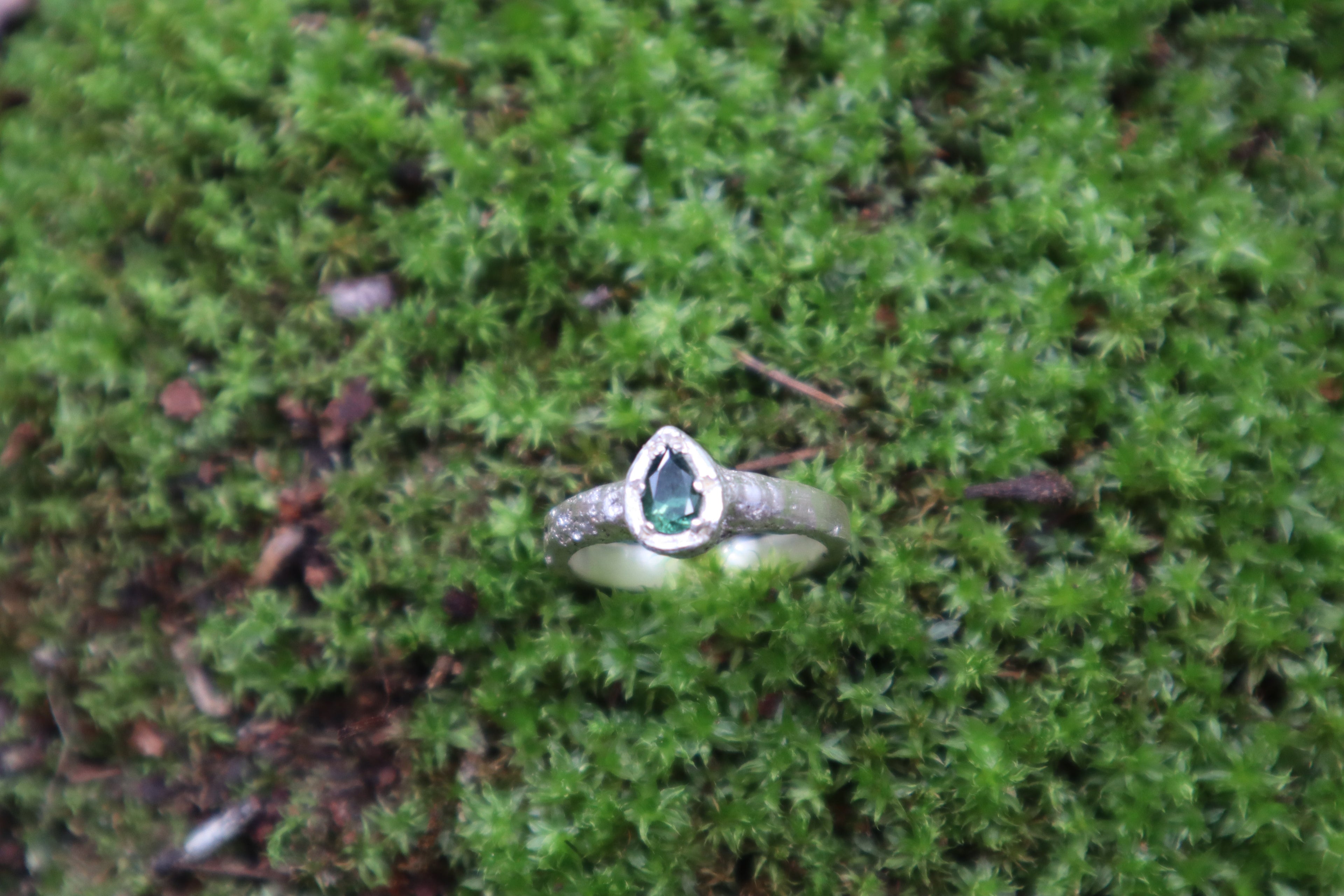 The Valencia Ring