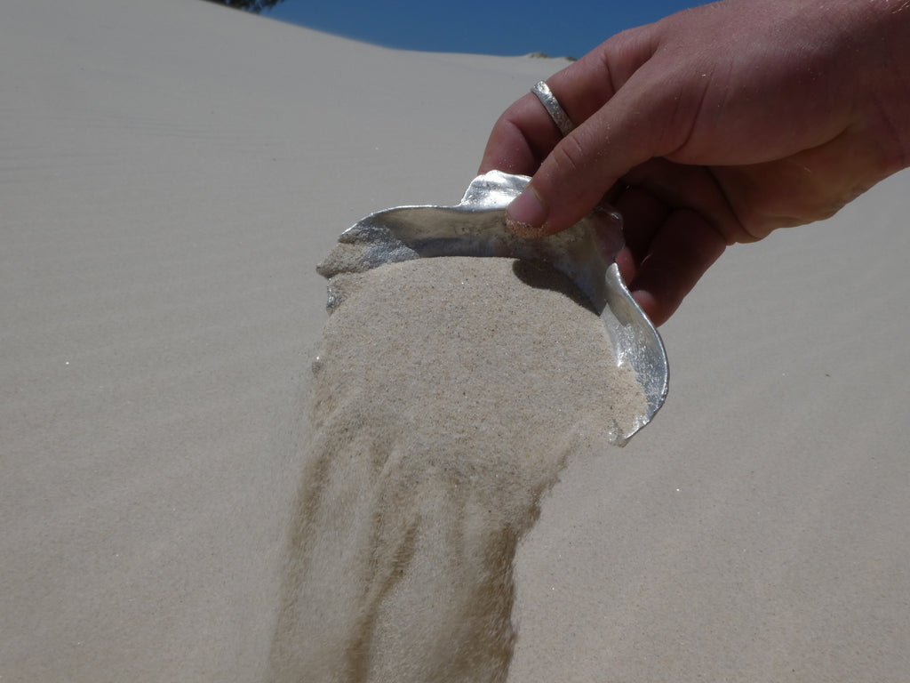 Fruit of the Sea Shell