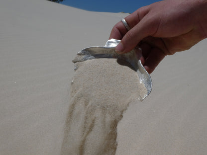 Fruit of the Sea Shell
