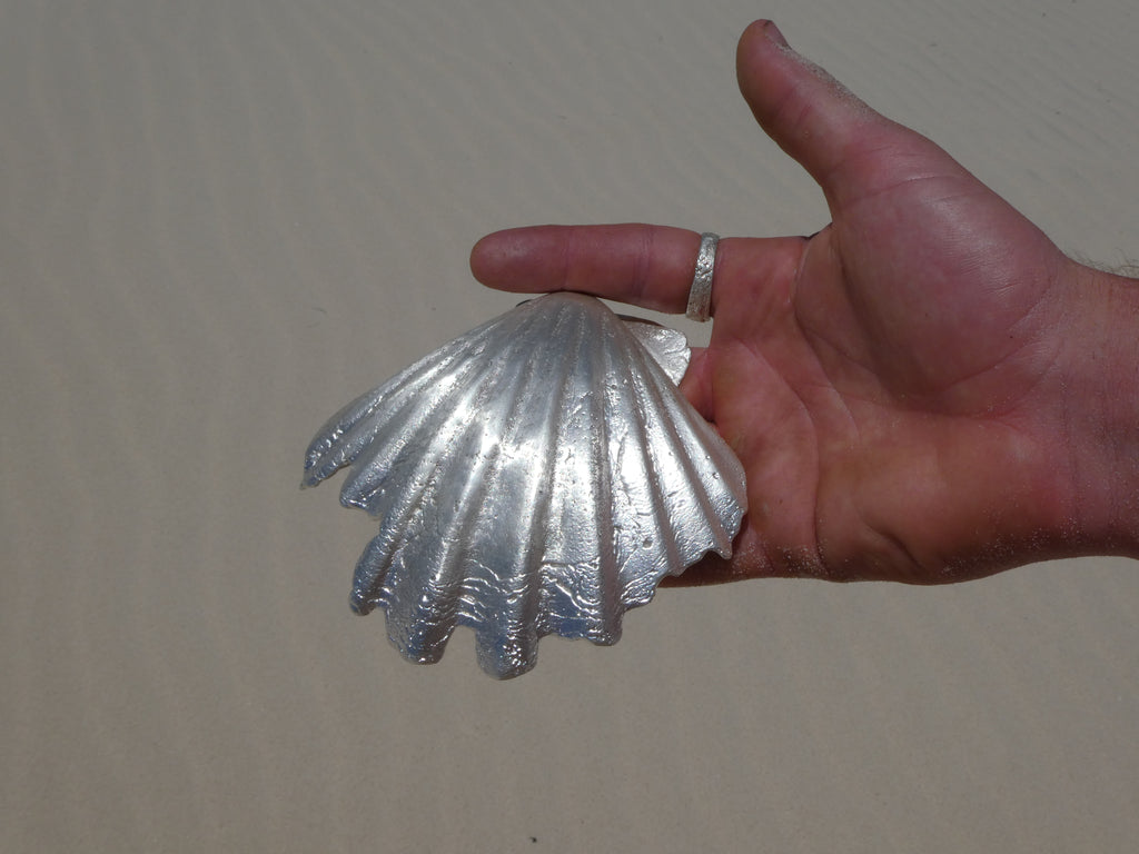 Fruit of the Sea Shell