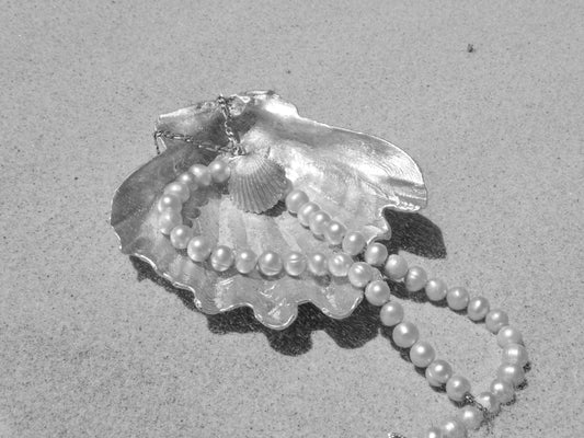 Fruit of the Sea Shell