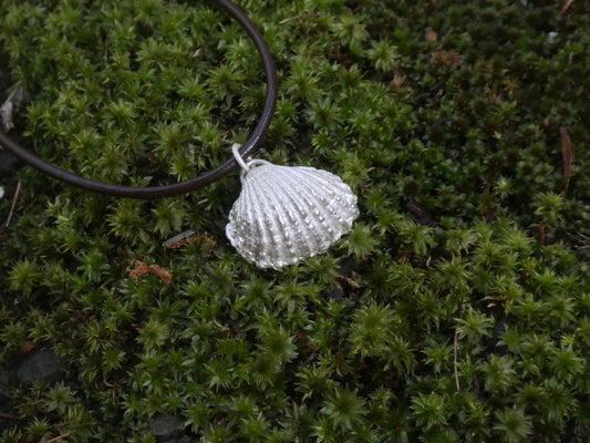 The 'Skewed' Shell