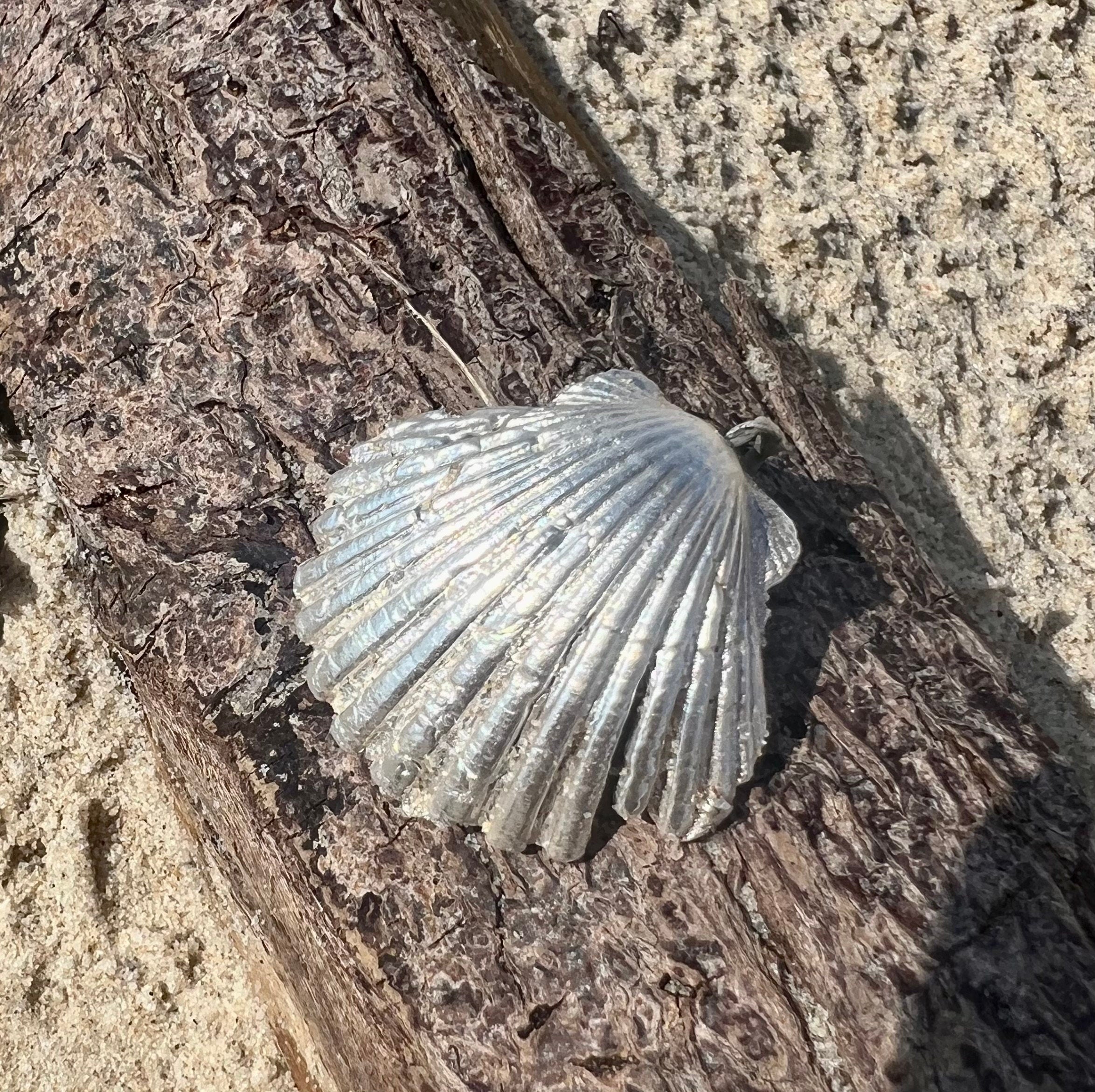 Venus Shell Pendant - Sandcast, Handforged - Available in 24k Gold, 18K Gold or 999 Silver - Unisex